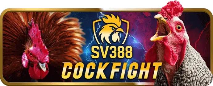 Tiền thưởng chào mừng cho người chơi mới 123win